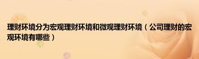 理财环境分为宏观理财环境和微观理财环境（公司理财的宏观环境有哪些）