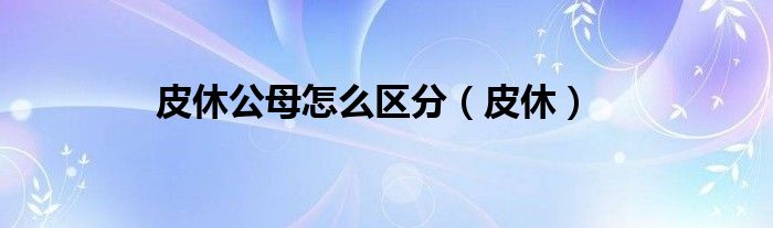 皮休公母怎么区分（皮休）