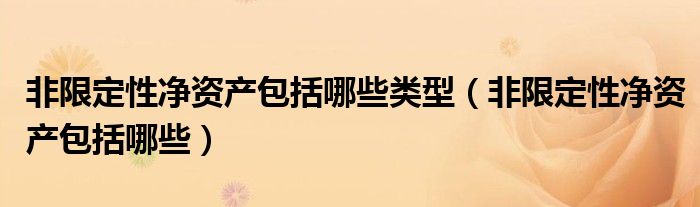 非限定性净资产包括哪些类型（非限定性净资产包括哪些）
