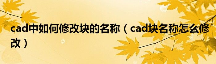 cad中如何修改块的名称（cad块名称怎么修改）