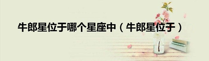 牛郎星位于哪个星座中（牛郎星位于）
