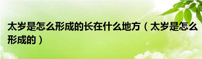太岁是怎么形成的长在什么地方（太岁是怎么形成的）