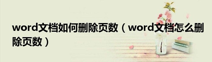 word文档如何删除页数（word文档怎么删除页数）