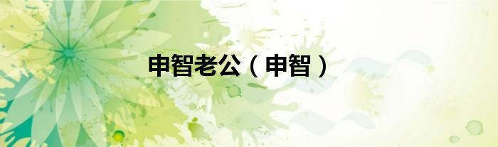 申智老公（申智）