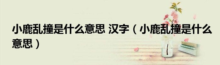 小鹿乱撞是什么意思 汉字（小鹿乱撞是什么意思）