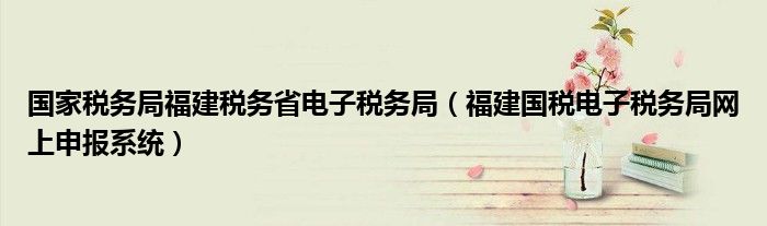 国家税务局福建税务省电子税务局（福建国税电子税务局网上申报系统）
