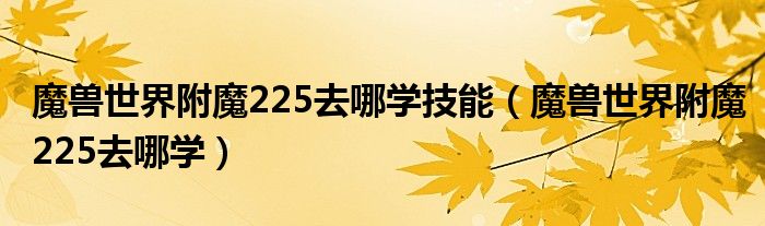 魔兽世界附魔225去哪学技能（魔兽世界附魔225去哪学）
