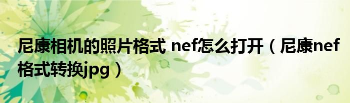 尼康相机的照片格式 nef怎么打开（尼康nef格式转换jpg）