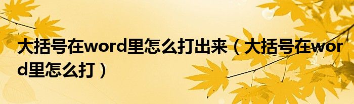大括号在word里怎么打出来（大括号在word里怎么打）