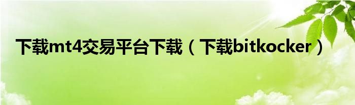 下载mt4交易平台下载（下载bitkocker）