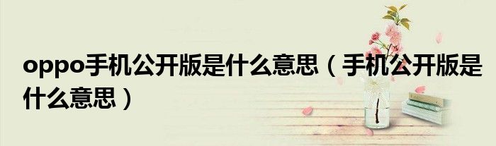 oppo手机公开版是什么意思（手机公开版是什么意思）