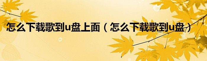 怎么下载歌到u盘上面（怎么下载歌到u盘）