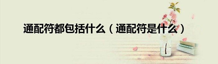 通配符都包括什么（通配符是什么）