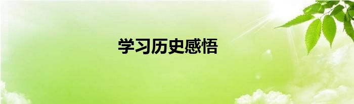 学习历史感悟