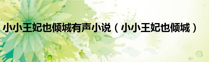小小王妃也倾城有声小说（小小王妃也倾城）