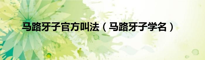 马路牙子官方叫法（马路牙子学名）