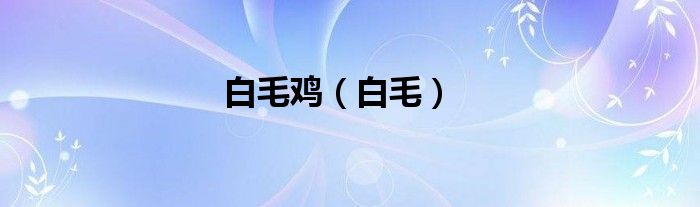 白毛鸡（白毛）