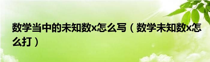数学当中的未知数x怎么写（数学未知数x怎么打）