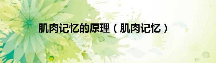 肌肉记忆的原理（肌肉记忆）