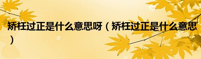 矫枉过正是什么意思呀（矫枉过正是什么意思）