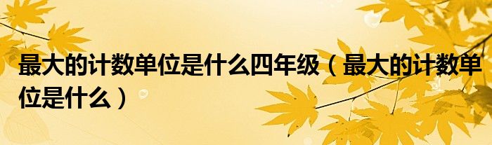 最大的计数单位是什么四年级（最大的计数单位是什么）