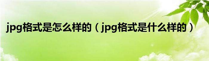 jpg格式是怎么样的（jpg格式是什么样的）