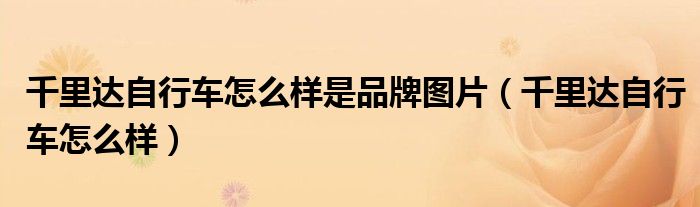 千里达自行车怎么样是品牌图片（千里达自行车怎么样）
