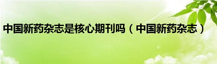 中国新药杂志是核心期刊吗（中国新药杂志）