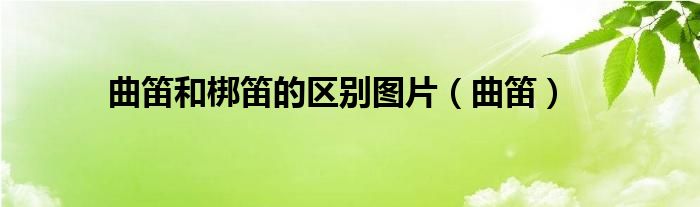 曲笛和梆笛的区别图片（曲笛）