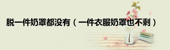脱一件奶罩都没有（一件衣服奶罩也不剩）