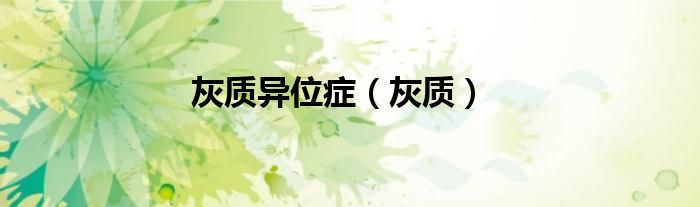 灰质异位症（灰质）