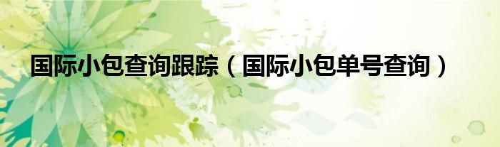 国际小包查询跟踪（国际小包单号查询）