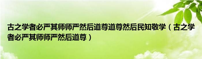 古之学者必严其师师严然后道尊道尊然后民知敬学（古之学者必严其师师严然后道尊）