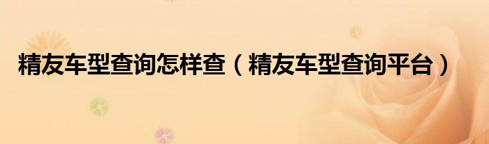 精友车型查询怎样查（精友车型查询平台）