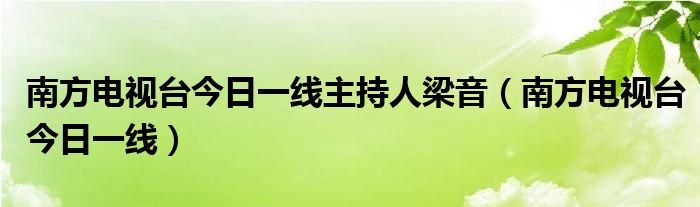 南方电视台今日一线主持人梁音（南方电视台今日一线）