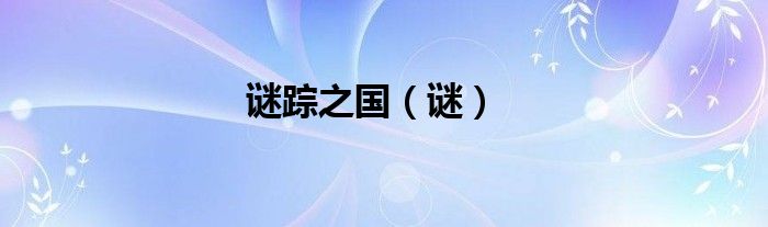 谜踪之国（谜）