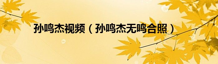 孙鸣杰视频（孙鸣杰无鸣合照）