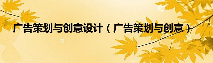 广告策划与创意设计（广告策划与创意）