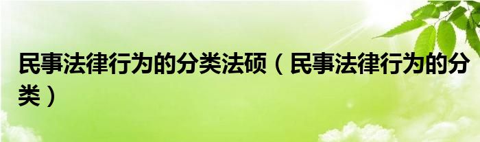 民事法律行为的分类法硕（民事法律行为的分类）