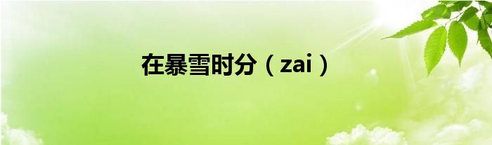 在暴雪时分（zai）