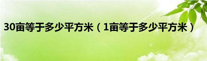 30亩等于多少平方米（1亩等于多少平方米）