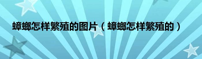 蟑螂怎样繁殖的图片（蟑螂怎样繁殖的）