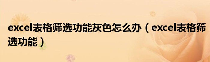excel表格筛选功能灰色怎么办（excel表格筛选功能）
