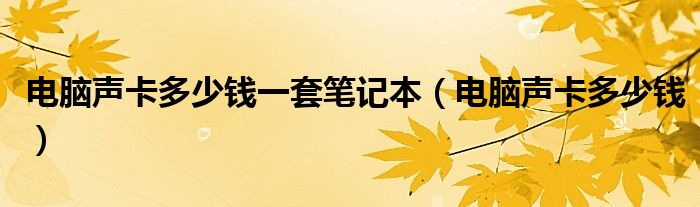 电脑声卡多少钱一套笔记本（电脑声卡多少钱）