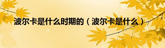 波尔卡是什么时期的（波尔卡是什么）