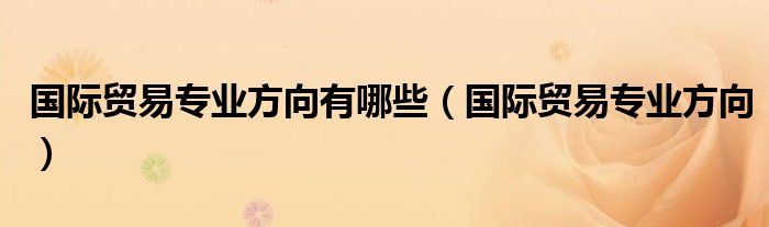 国际贸易专业方向有哪些（国际贸易专业方向）