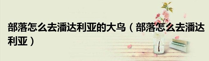 部落怎么去潘达利亚的大鸟（部落怎么去潘达利亚）