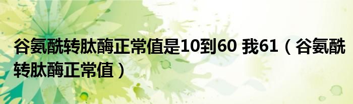 谷氨酰转肽酶正常值是10到60 我61（谷氨酰转肽酶正常值）