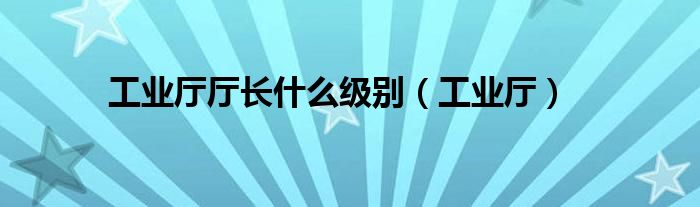 工业厅厅长什么级别（工业厅）