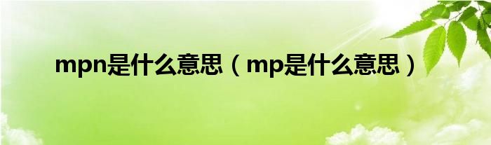 mpn是什么意思（mp是什么意思）